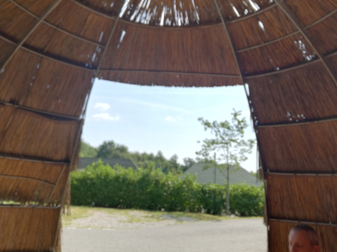 Camping Safari