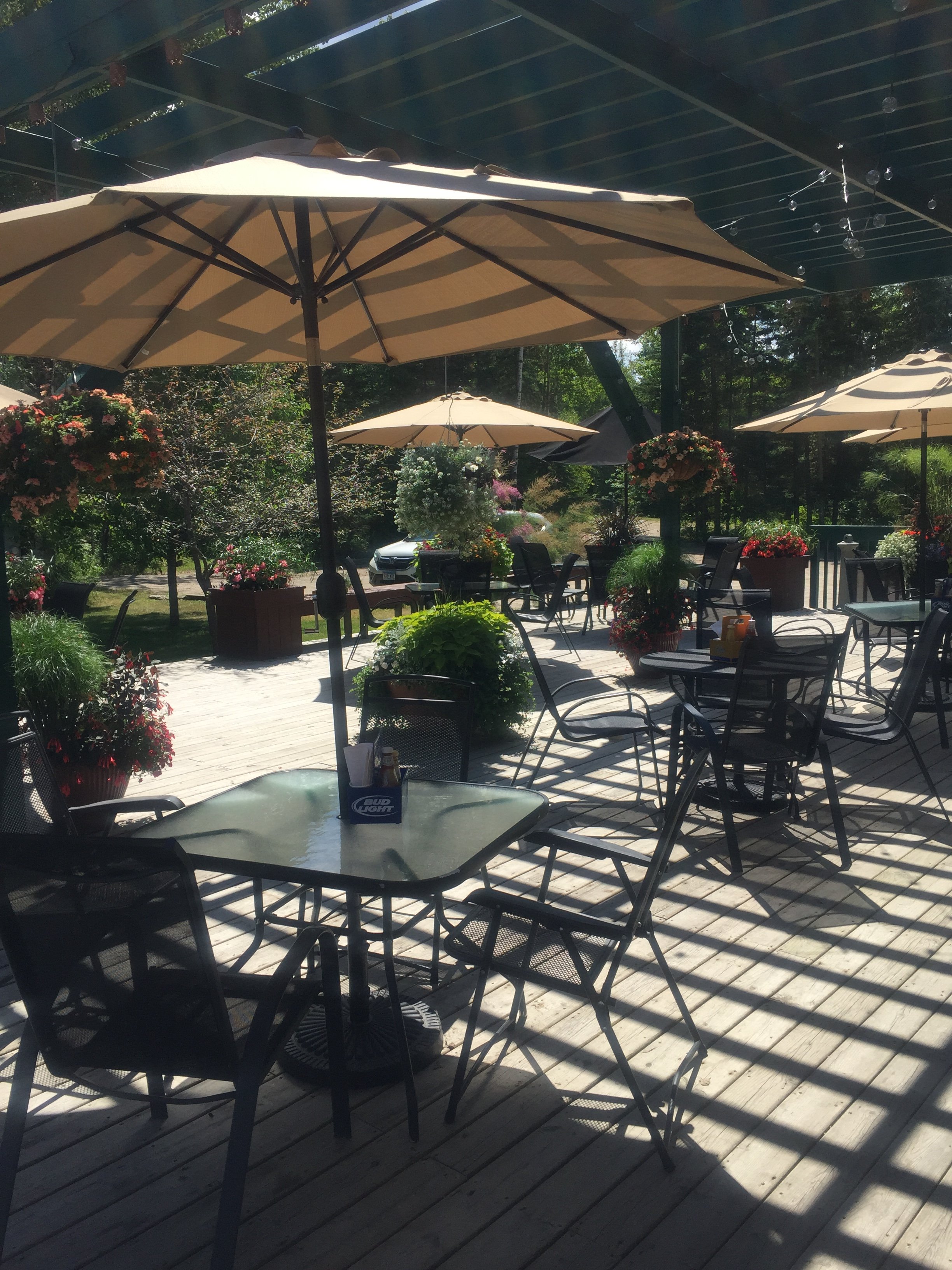 Timberwolf Inn-官方