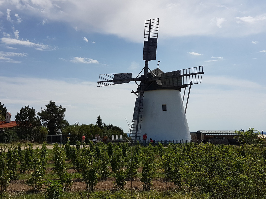Windmühle Retz-雷兹必去景点