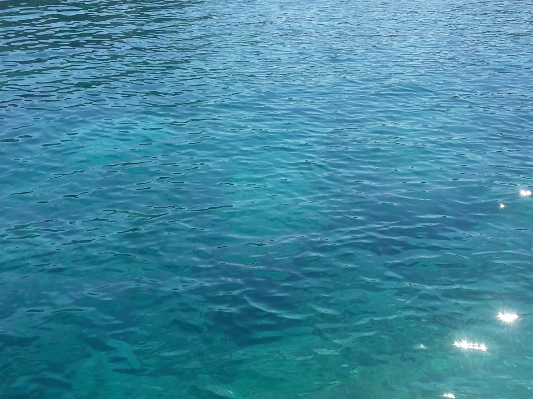 Rhodes Rib Boat Tour景点图片