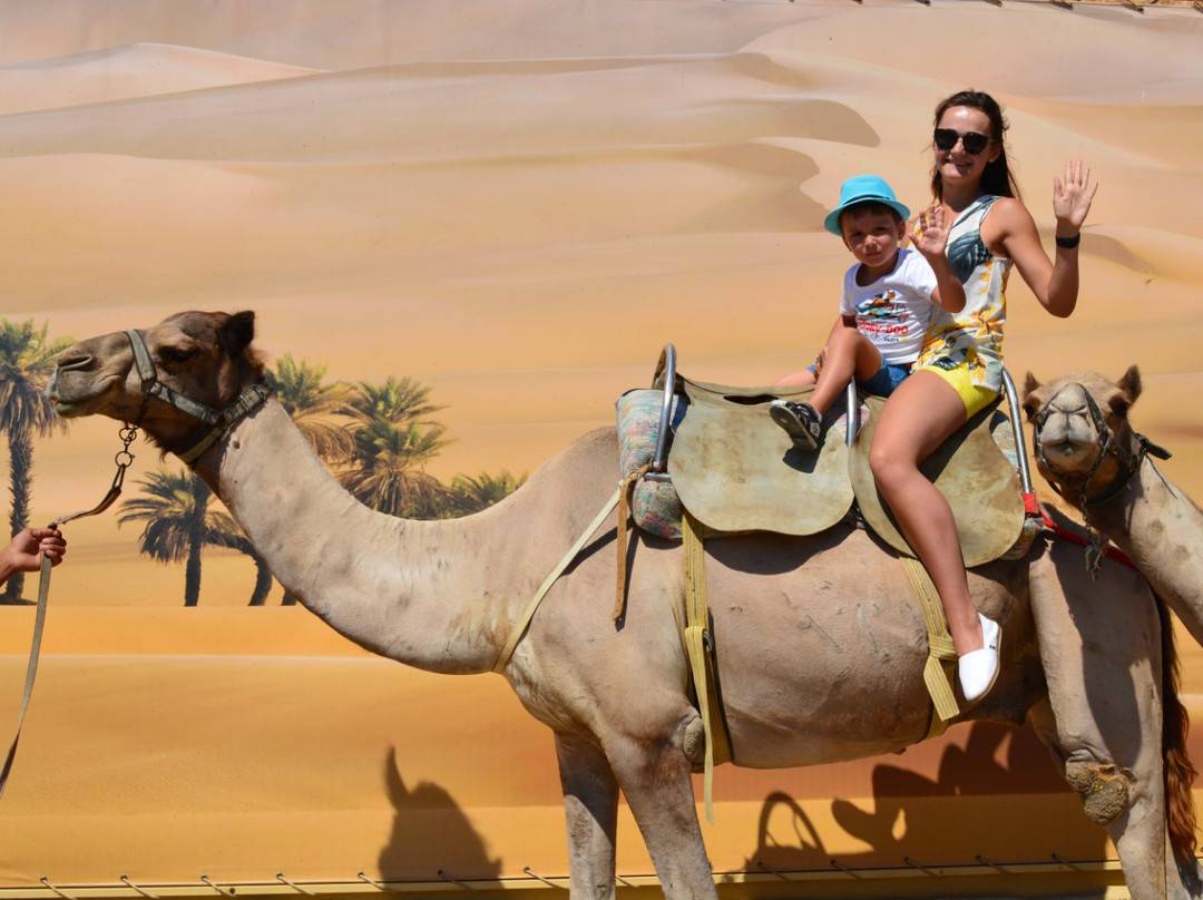 Camel Park Sunny Beach景点图片
