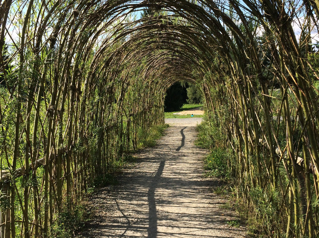 Waldbroel旅游攻略图片