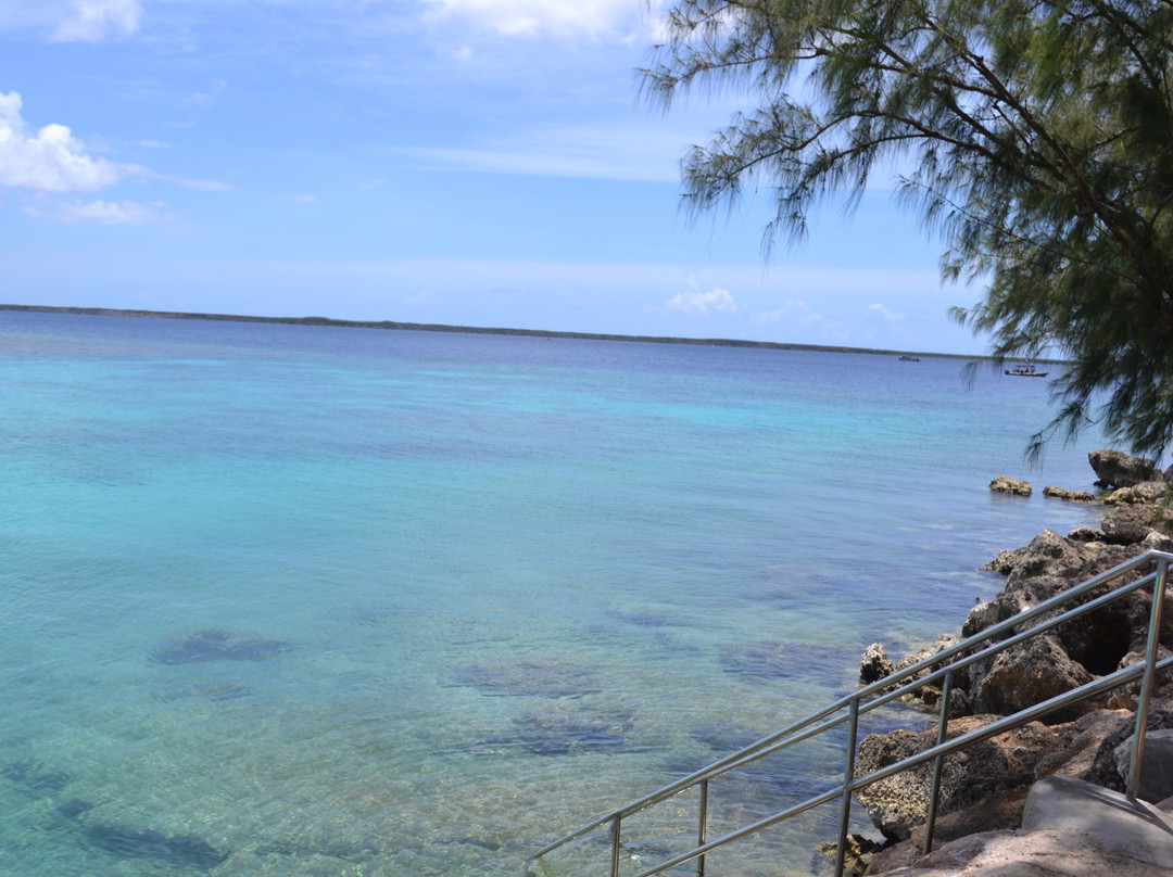 Santa Rita旅游攻略图片