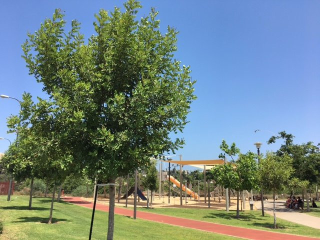 Herzliya Park景点图片