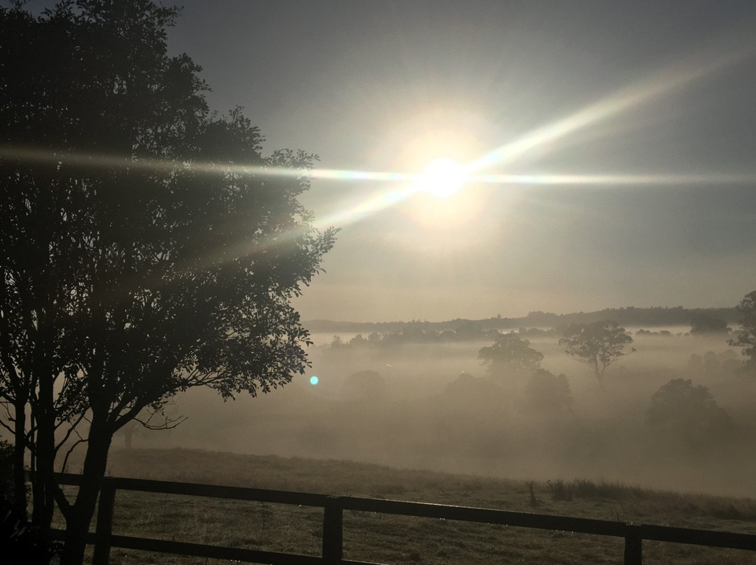 Lilydale Farmstay景点图片
