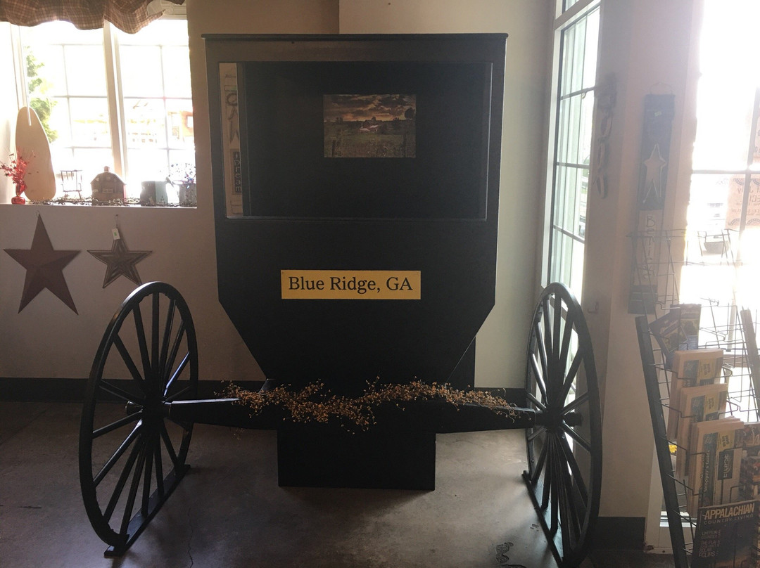 Taste of Amish & General Store景点图片