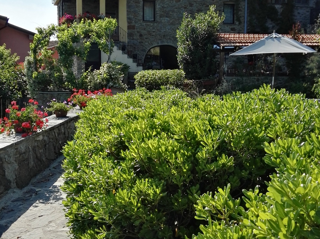 Polverara酒店住宿-B&B Il Tulipano