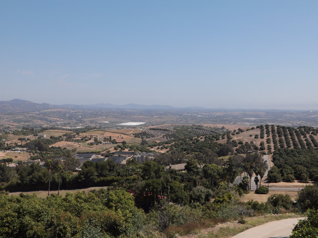 Beach House Winery-欧申赛德必去景点