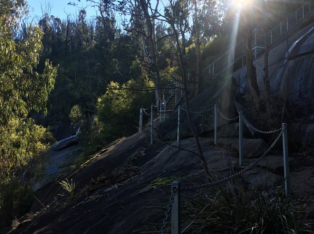 Murrindindi Scenic Reserve景点图片