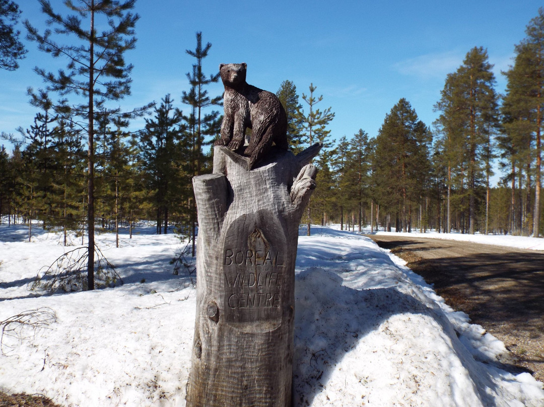 Boreal Wildlife Centre-Kuhmo必去景点