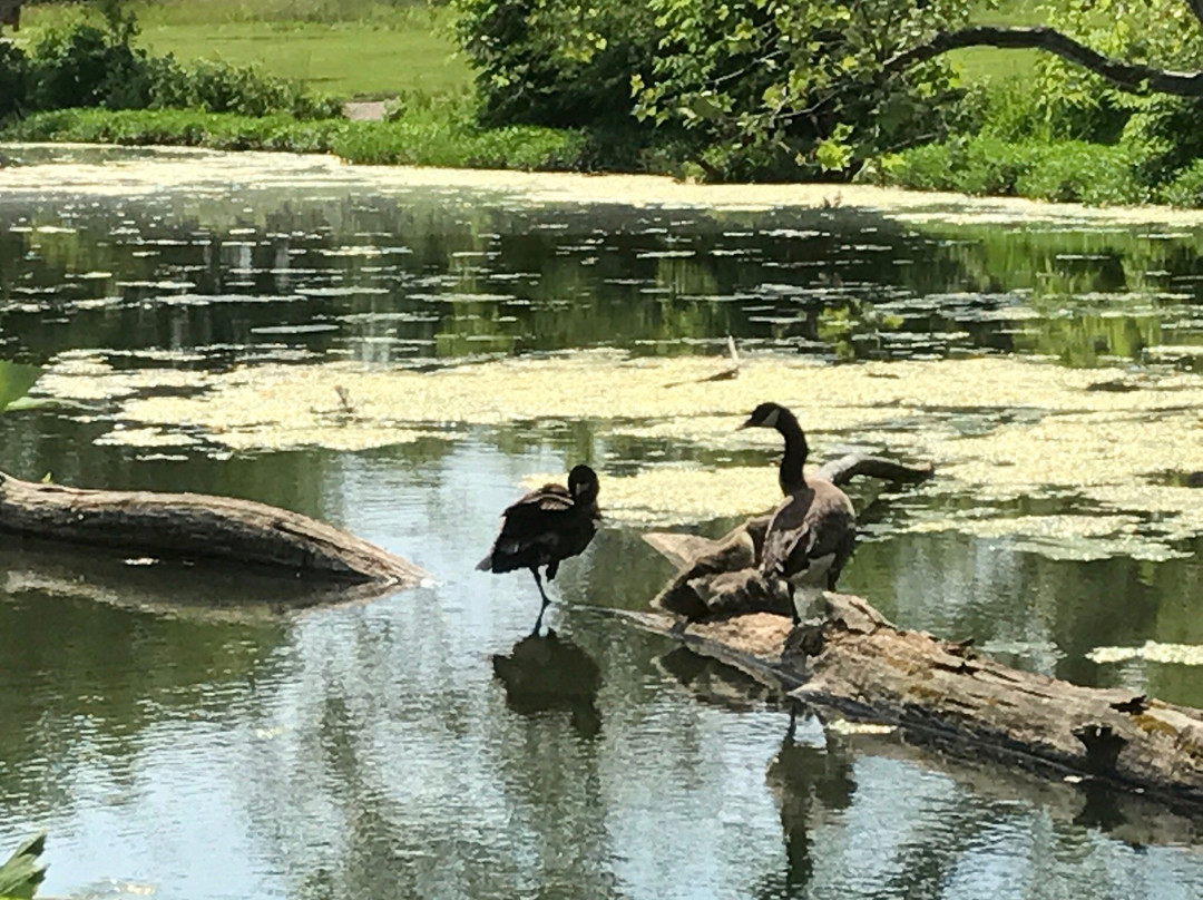 Three Creeks Metropark-Groveport必去景点