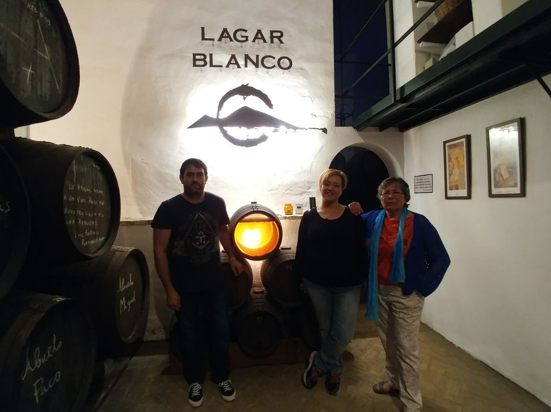 Bodegas Lagar Blanco景点图片