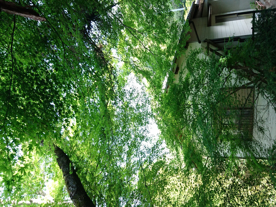 Iwatani Falls Daishoin景点图片