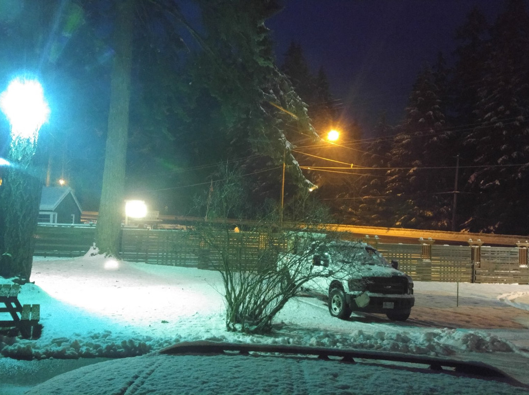 Malahat Bungalows Motel主图