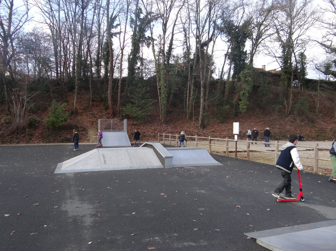 Skatepark Carsac景点图片