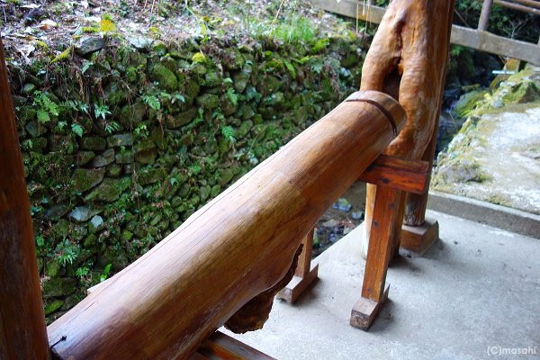 Sei Koshi no Kamisama-和水町必去景点