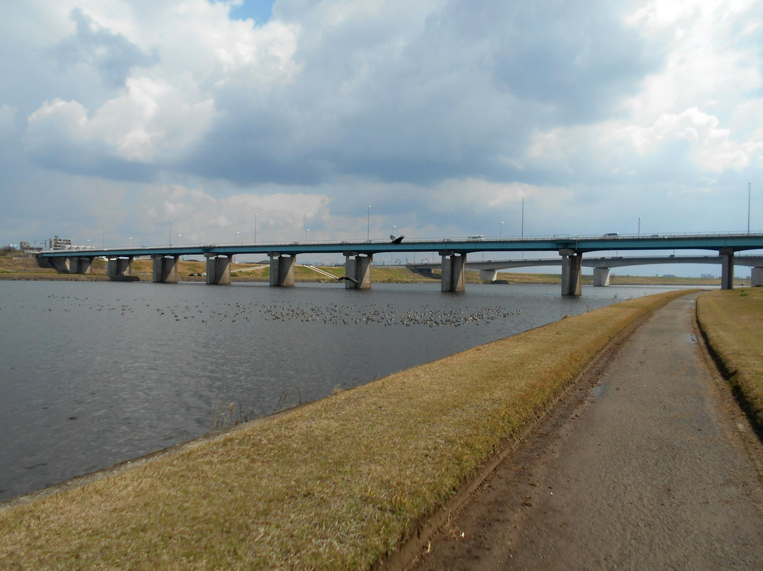 Chiko River Cycling Road景点图片