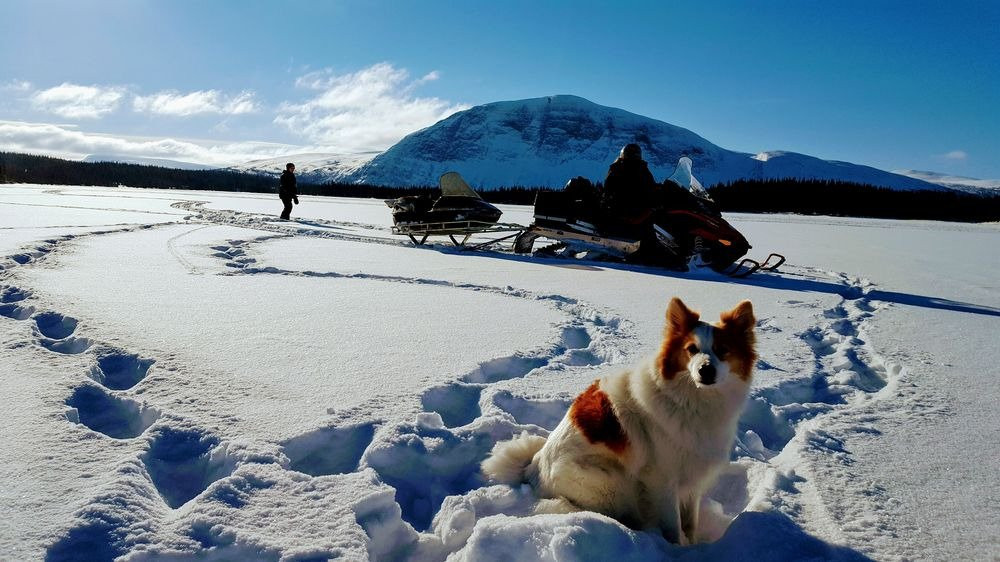 Dorotea旅游攻略图片