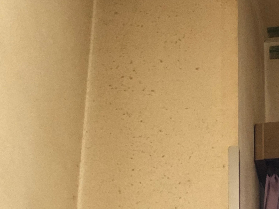 Daiichi Maruyu Ryokan