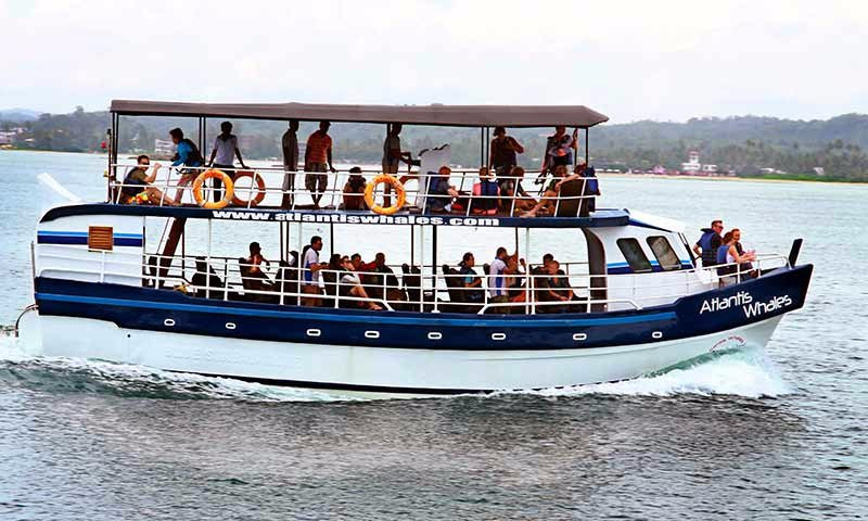 Ceylon - Lanka Tours景点图片