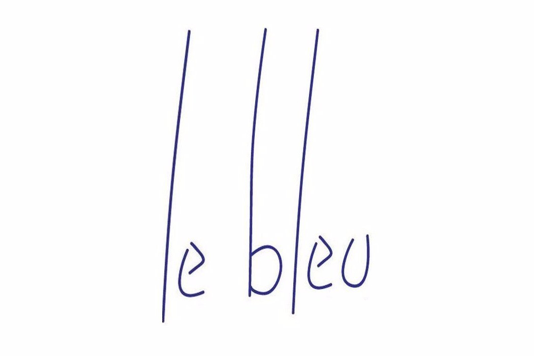 尼亚美餐馆和美食-Brasserie QG - Restaurant gastronomique LE BLEU