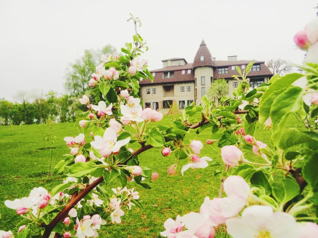 Yahotyn旅游攻略图片