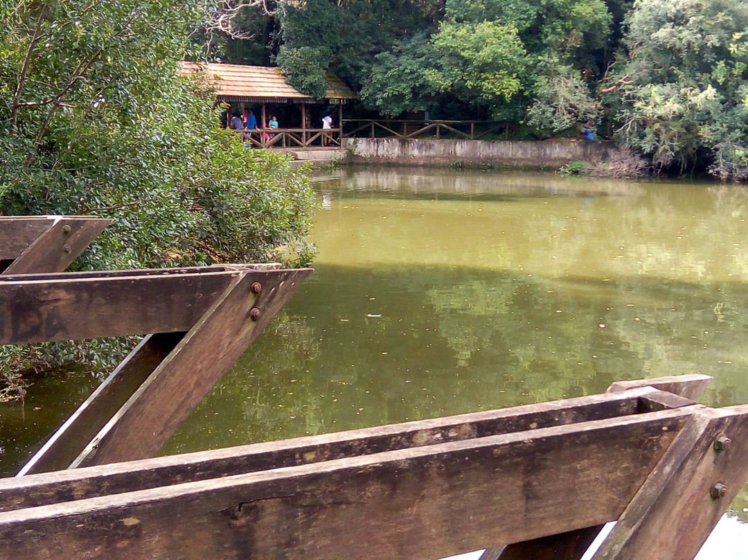 Parque Cachoeira景点图片