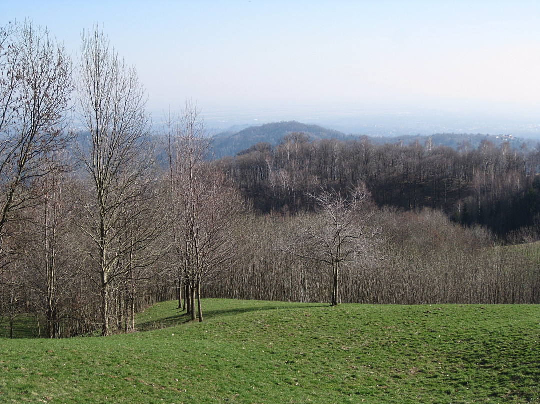 Santuario della Brughiera景点图片