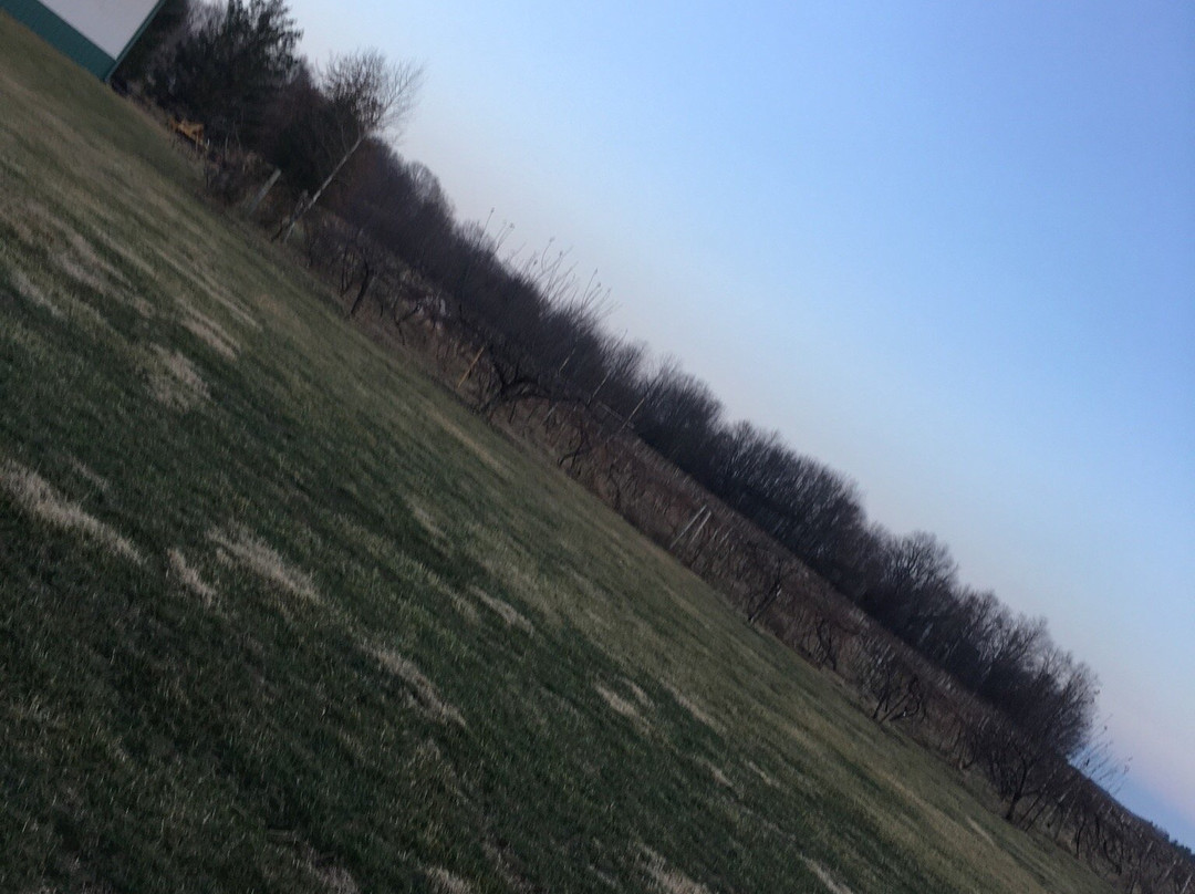 Buck Creek Winery-印第安纳波利斯必去景点