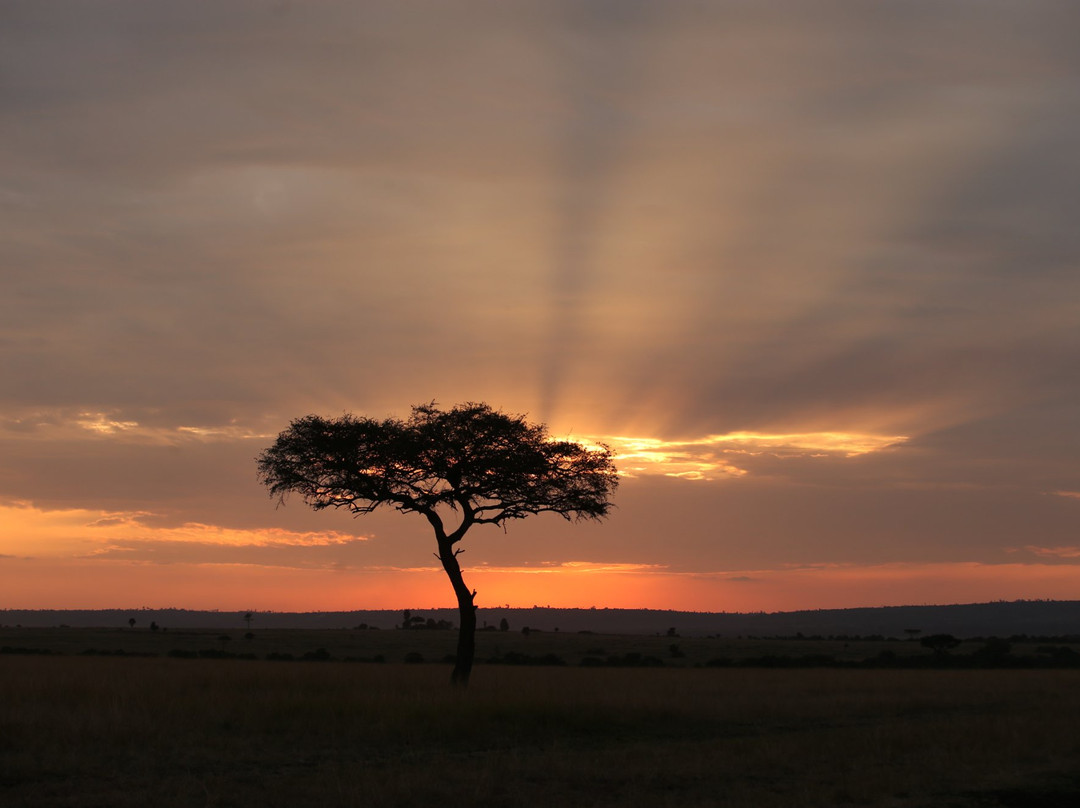 Bongo Asili Cultural travels ltd-涅里必去景点