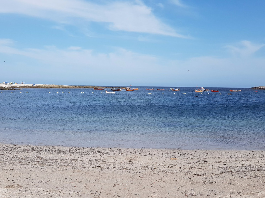 Playa Chanavayita-伊基克必去景点