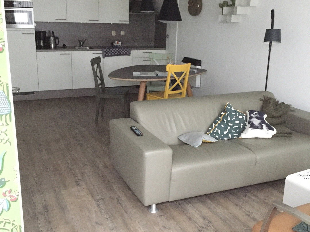 Appartementenhotel Tjermelan主图