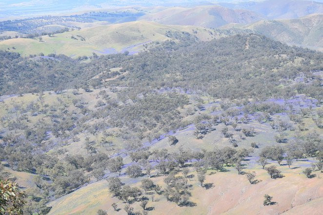 Mt Brown-阔恩必去景点