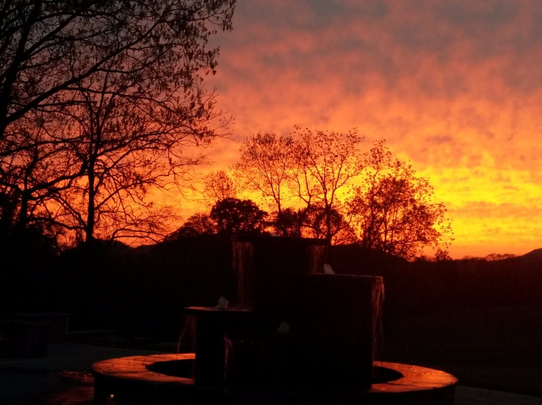 Spout Spring Estates Winery and Vineyard-Blaine必去景点