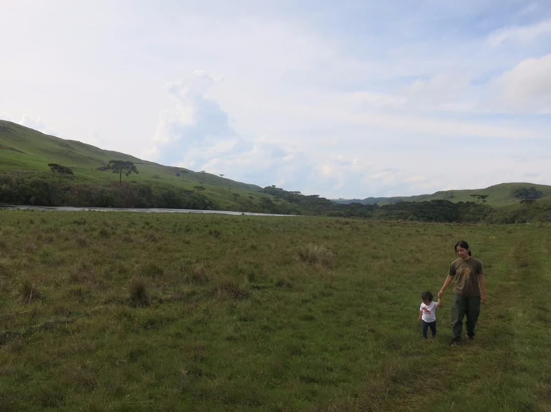 Lajeado Da Margarida-Cambará do Sul必去景点