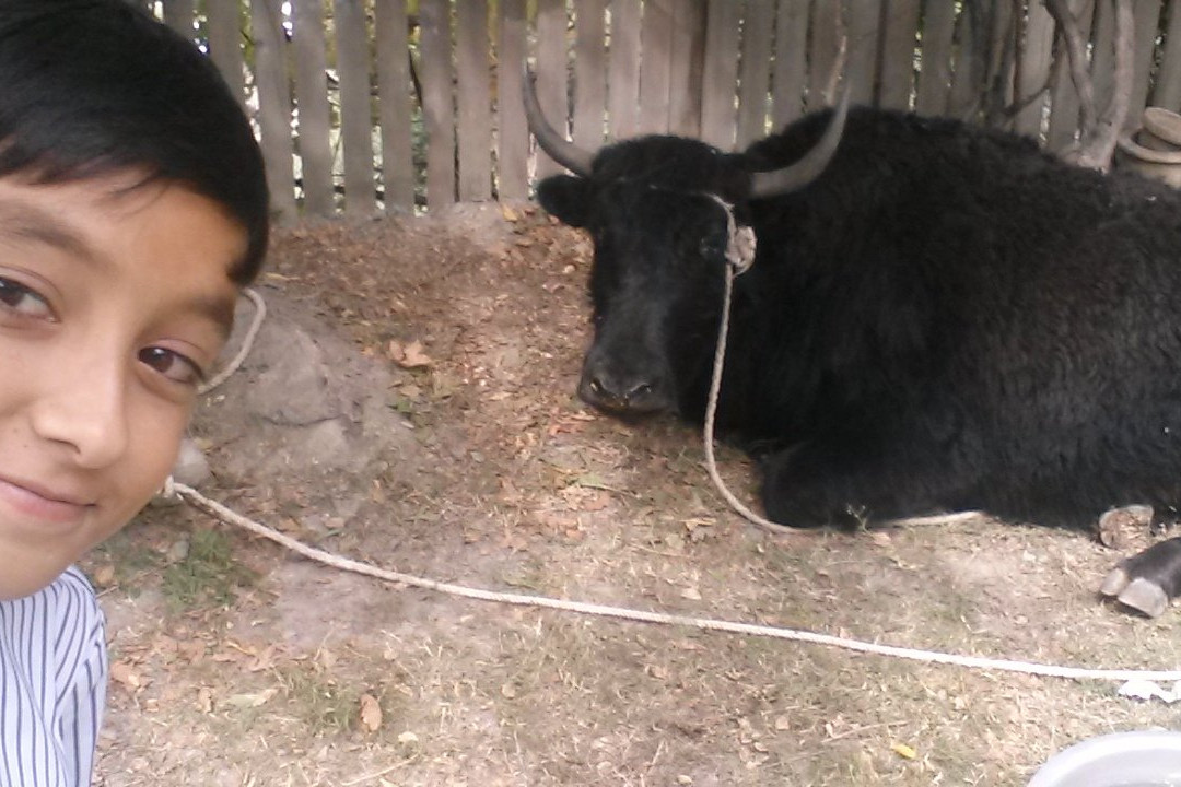 Tirich Mir-Chitral必去景点