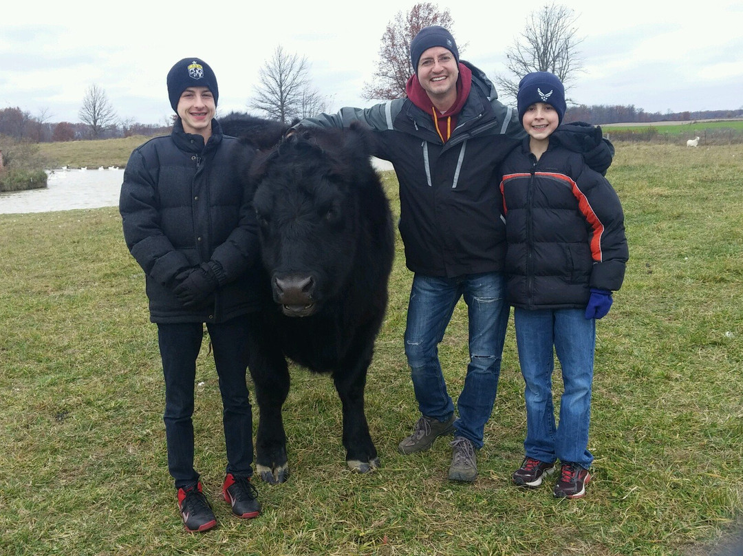 Sunrise Animal Sanctuary-马里斯维尔必去景点