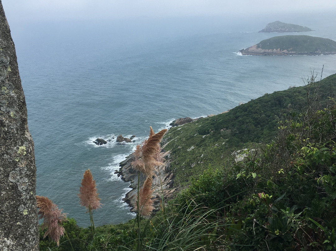 Farol da Praia da Vila景点图片