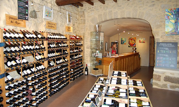 Vinadea - Maison des Vins et Vinotheque-教皇新堡必去景点