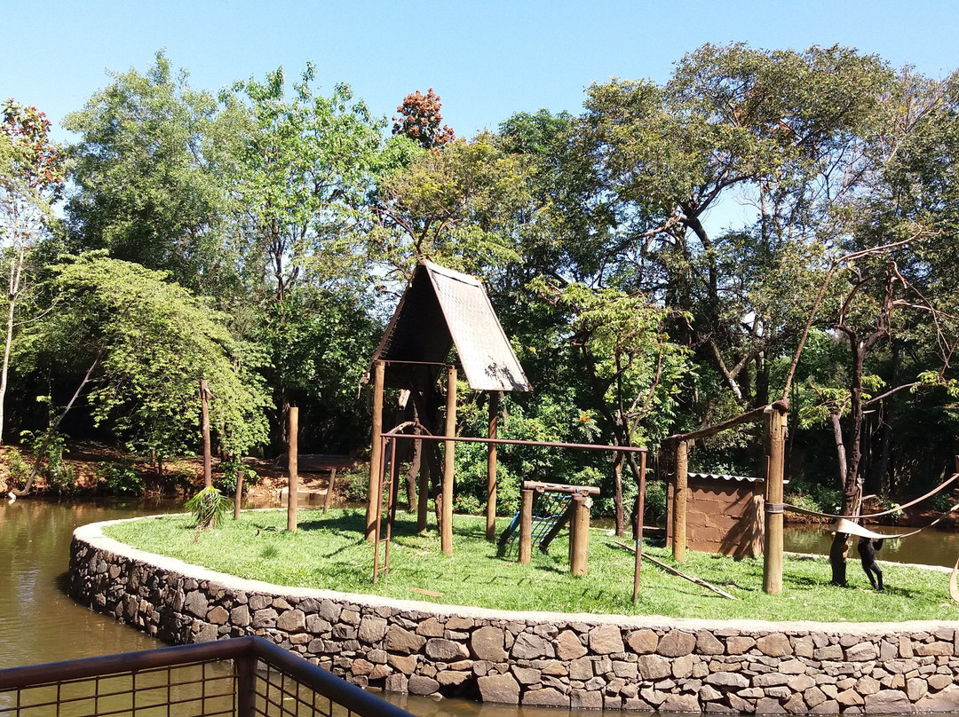Zoologico Municipal de Piracicaba景点图片
