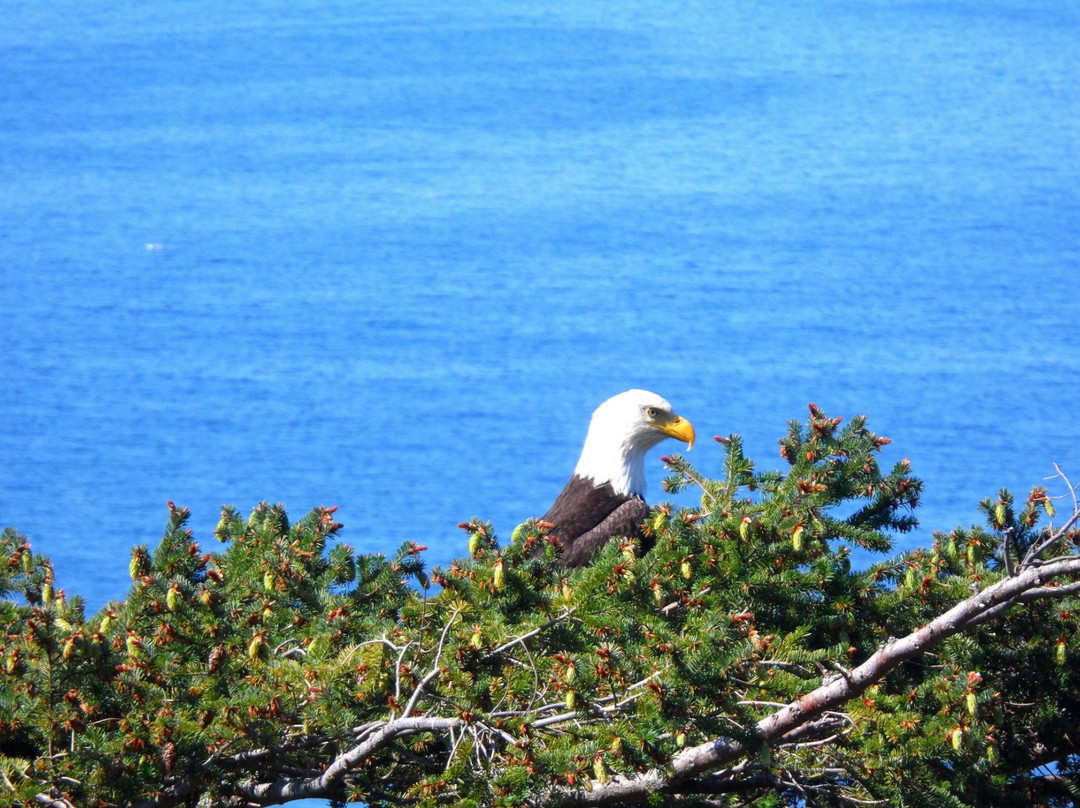 Anderson Bay Provincial Park景点图片