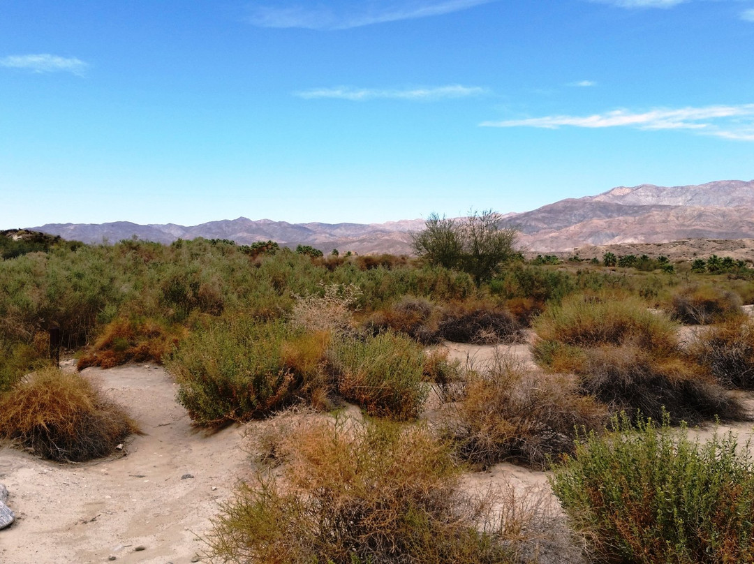 San Andreas Fault-棕榈沙漠必去景点