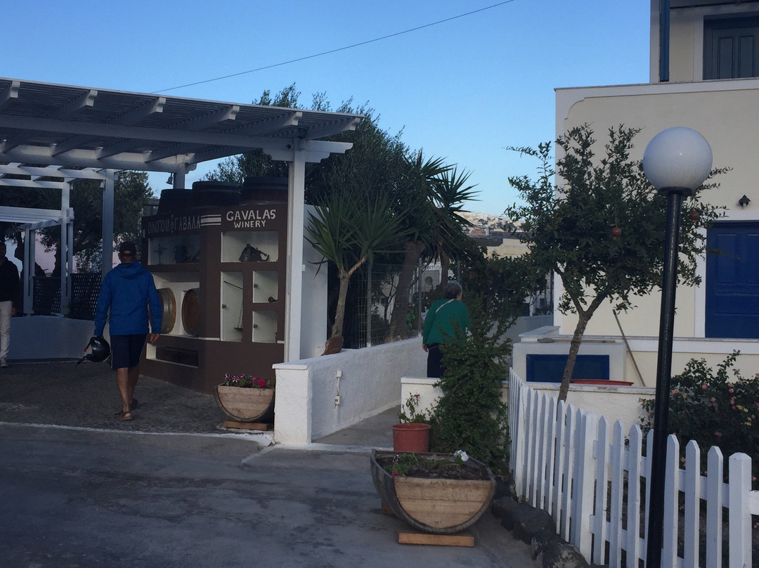 Premier Santorini Travel Services - Daily Tours-圣托里尼必去景点