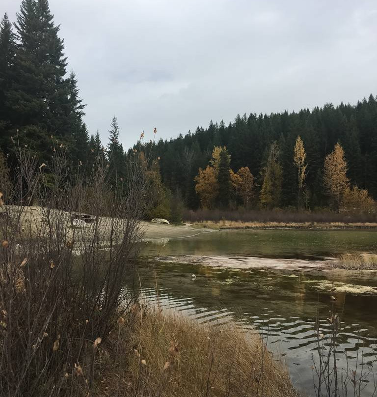 Cedar Lake景点图片