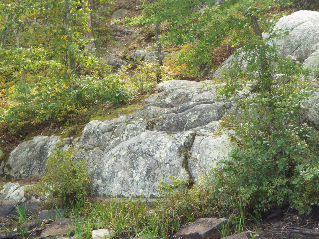Ames Nowell State Park景点图片
