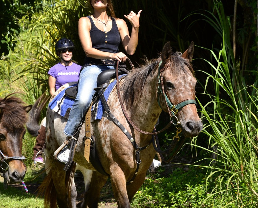 Silver Crest Farms-Kapoho必去景点
