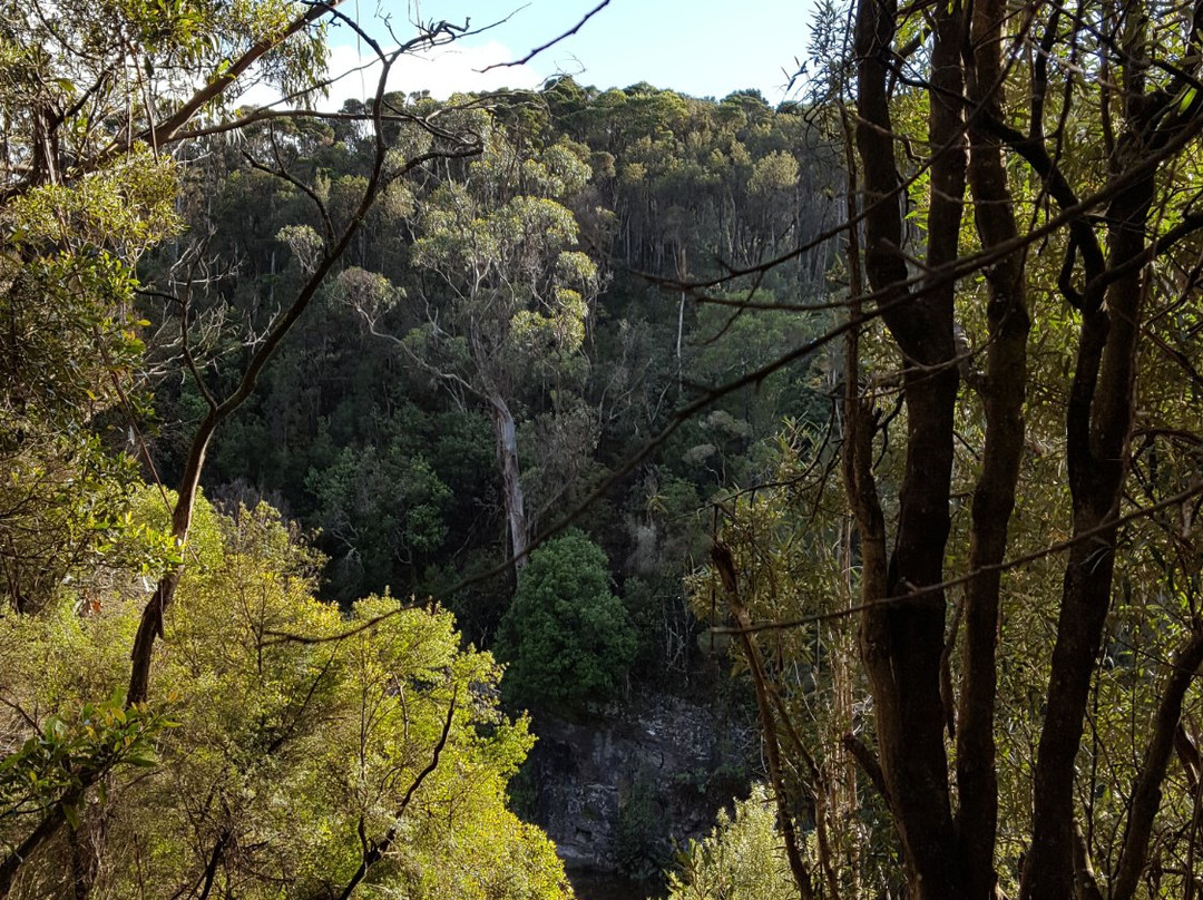 King Island Rambles-King Island必去景点