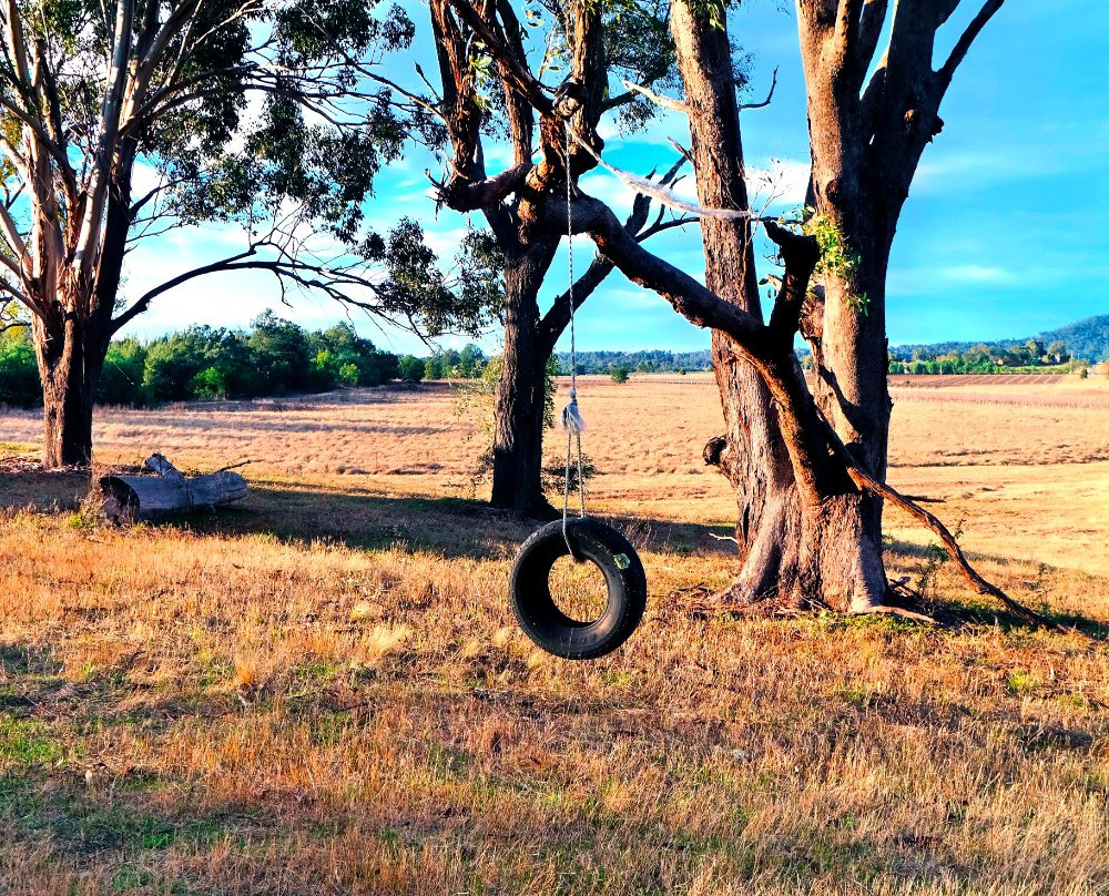 Glenguin Estate and Vineyard-Broke必去景点