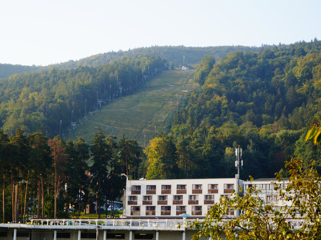 Garni Hotel Milena主图
