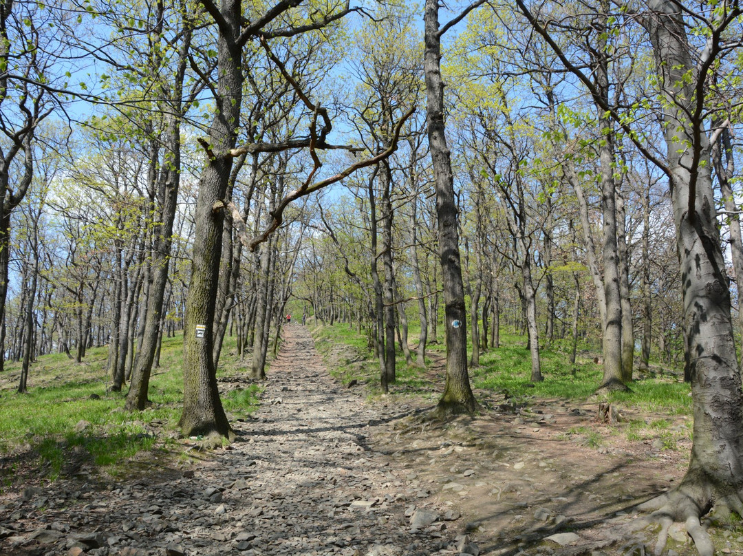 Sleza Landscape Park景点图片